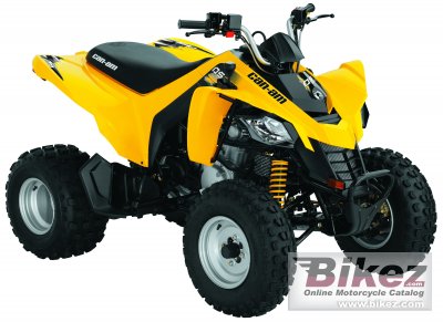2010 Can-Am DS 250 photo